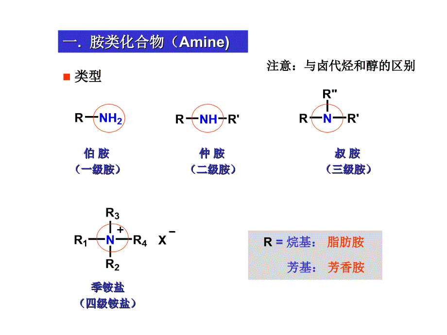 含氮化合物1v培训课件_第2页