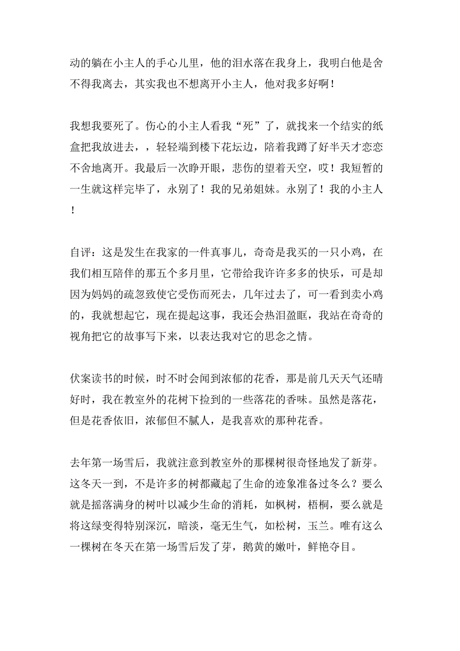 小学二年级的小作文1200字集合五篇_第3页