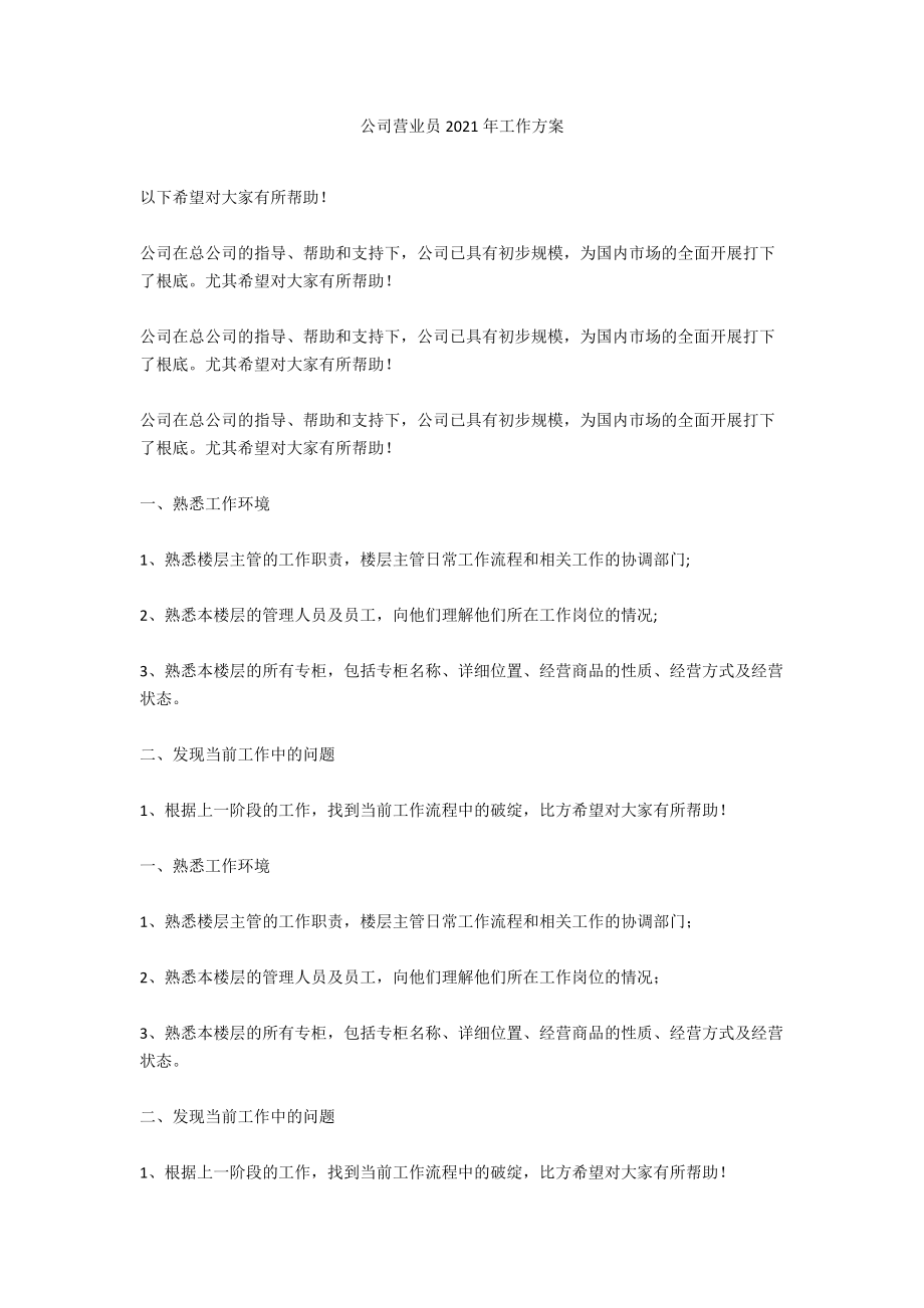 公司营业员2021年工作计划_第1页