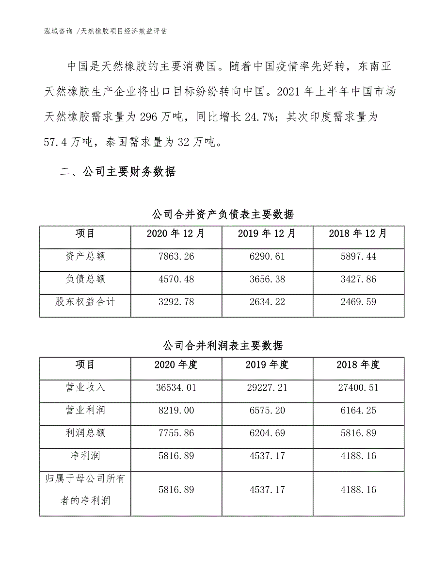 天然橡胶项目经济效益评估（模板）_第4页