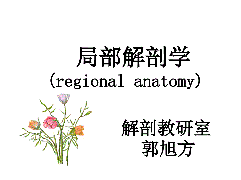 2011临床本科上肢临床问题讨论说课材料_第1页