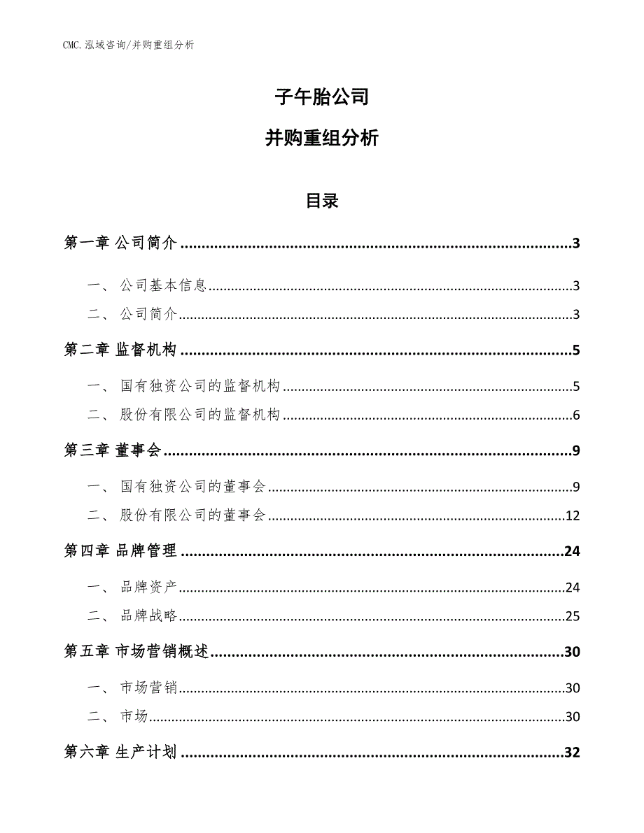 子午胎公司并购重组分析（模板）_第1页