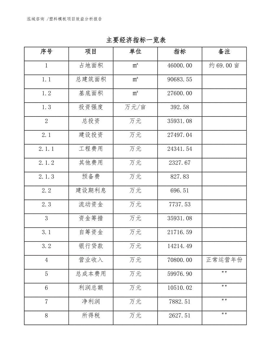 塑料模板项目效益分析报告（模板）_第5页