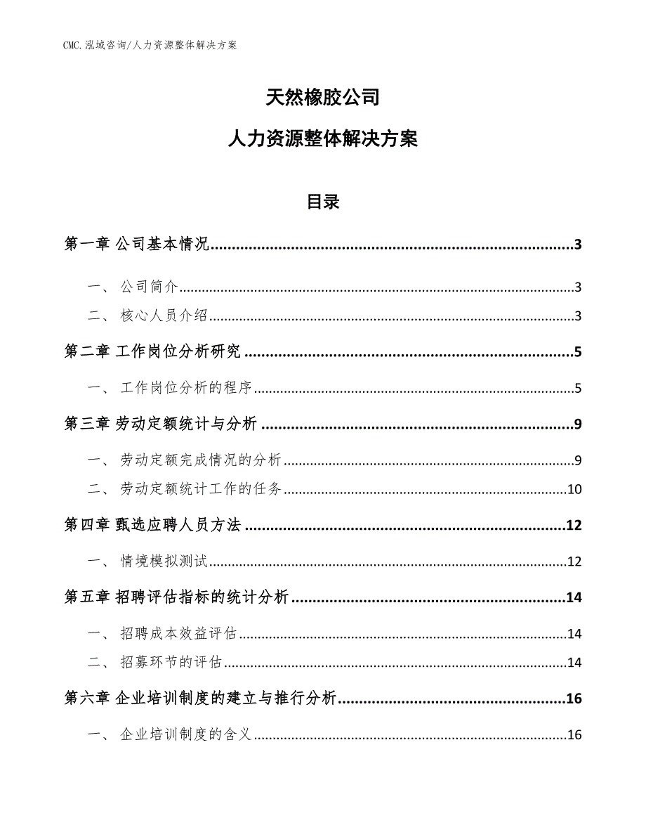 天然橡胶公司人力资源整体解决方案（参考）_第1页