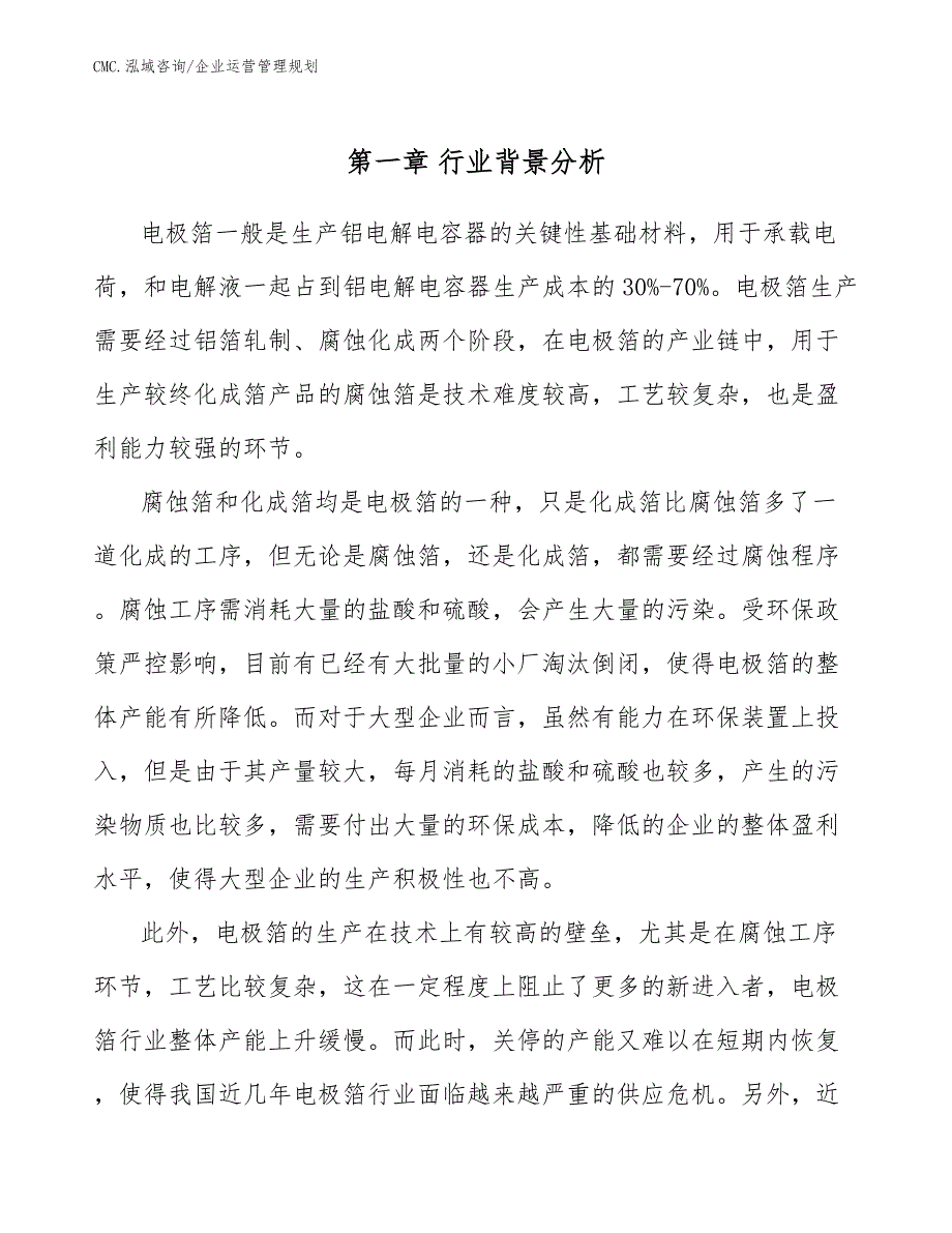 电极箔公司企业运营管理规划（模板）_第4页