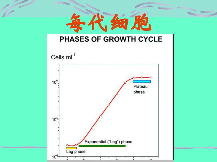 2细胞培养技术-每代细胞讲义教材_第2页