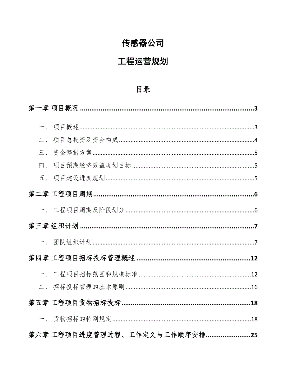 传感器公司工程运营规划（模板）_第1页