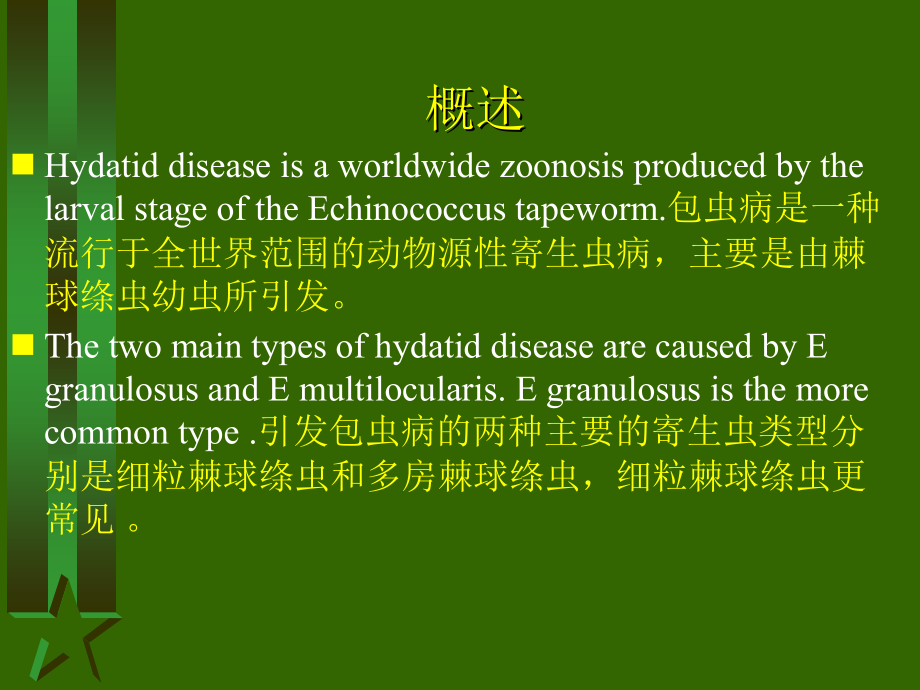 脑包虫病细粒棘球绦虫感染MRI诊断2012227教学幻灯片_第2页