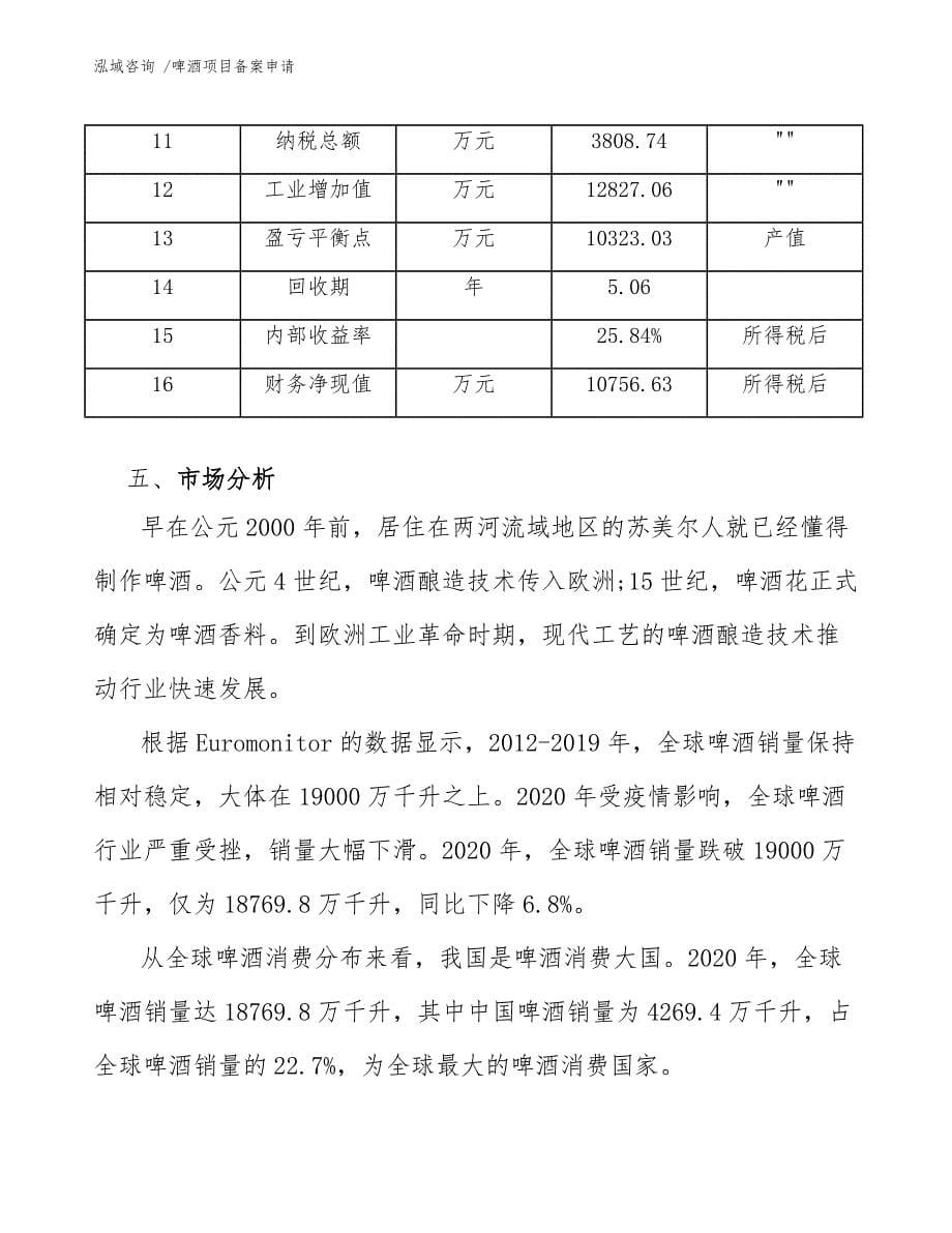 啤酒项目备案申请（参考模板）_第5页