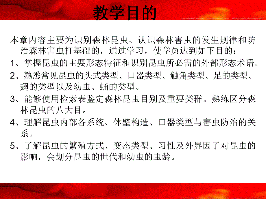 森林昆虫知识p上课讲义_第2页