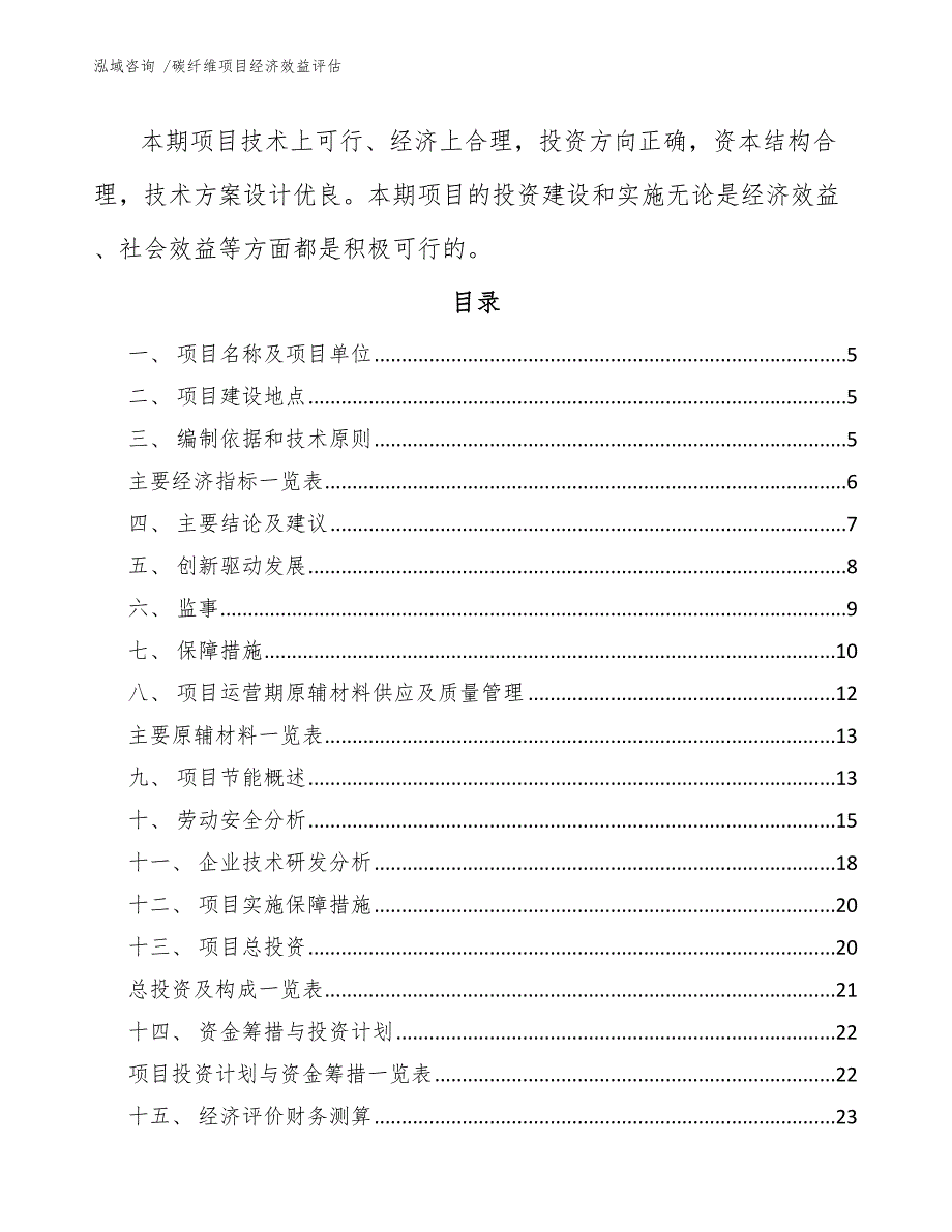 碳纤维项目经济效益评估（模板）_第2页