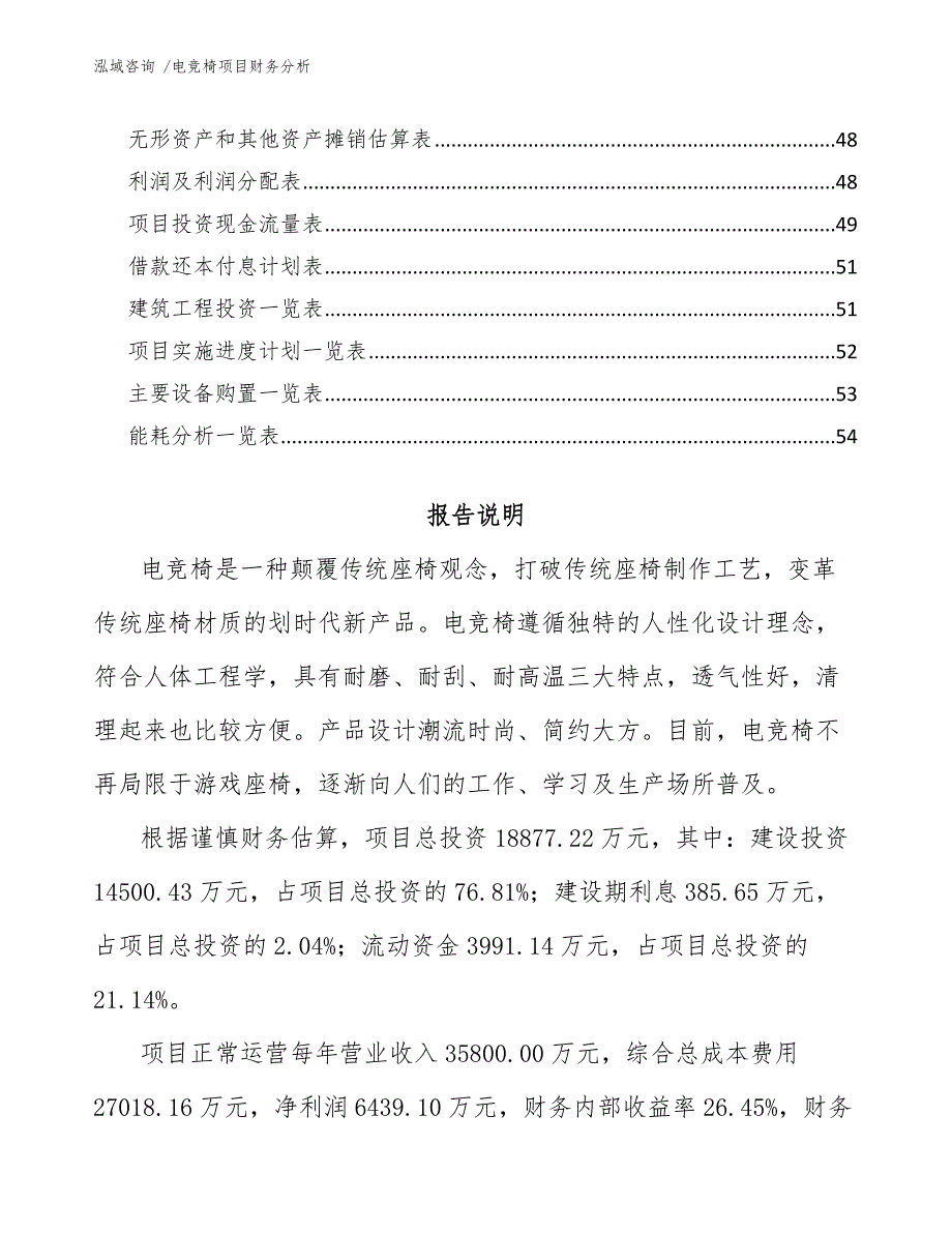 电竞椅项目财务分析（模板）_第4页