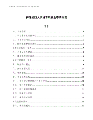 护理机器人项目专项资金申请报告（范文）