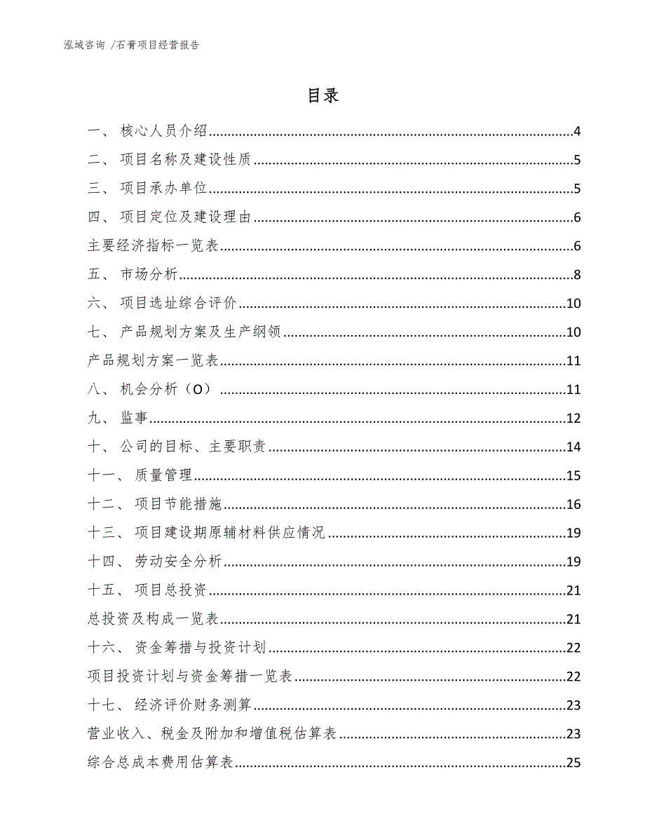 石膏项目经营报告（模板）_第2页