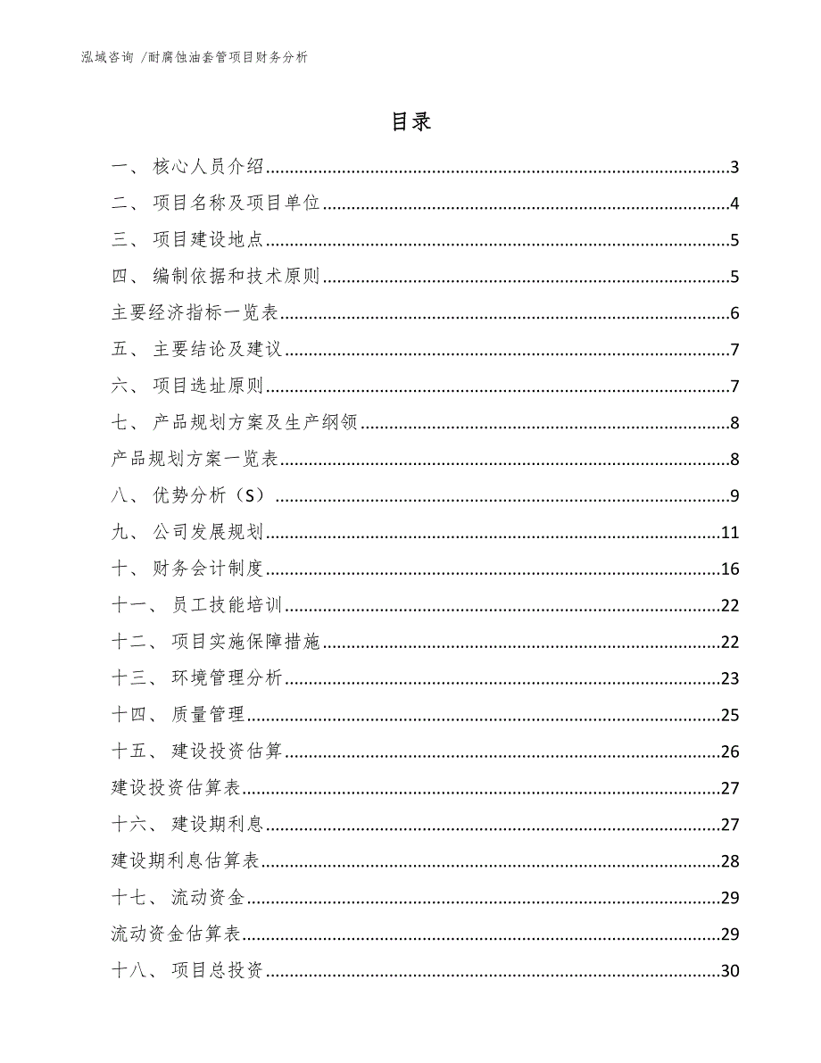 耐腐蚀油套管项目财务分析（模板范文）_第1页