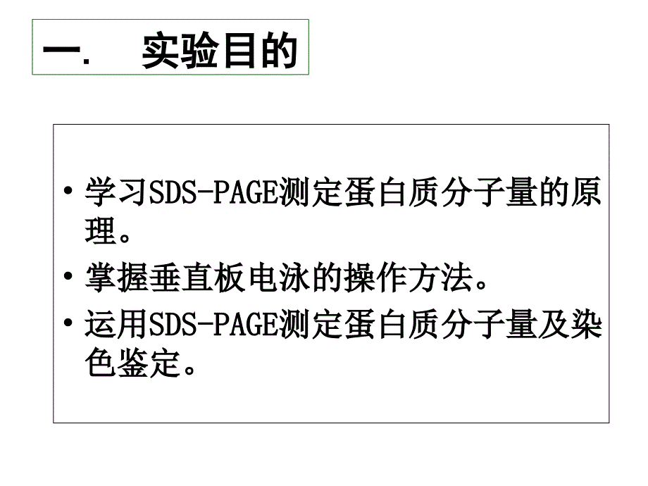 2012SDS聚丙烯酰胺凝胶电泳p电子教案_第2页