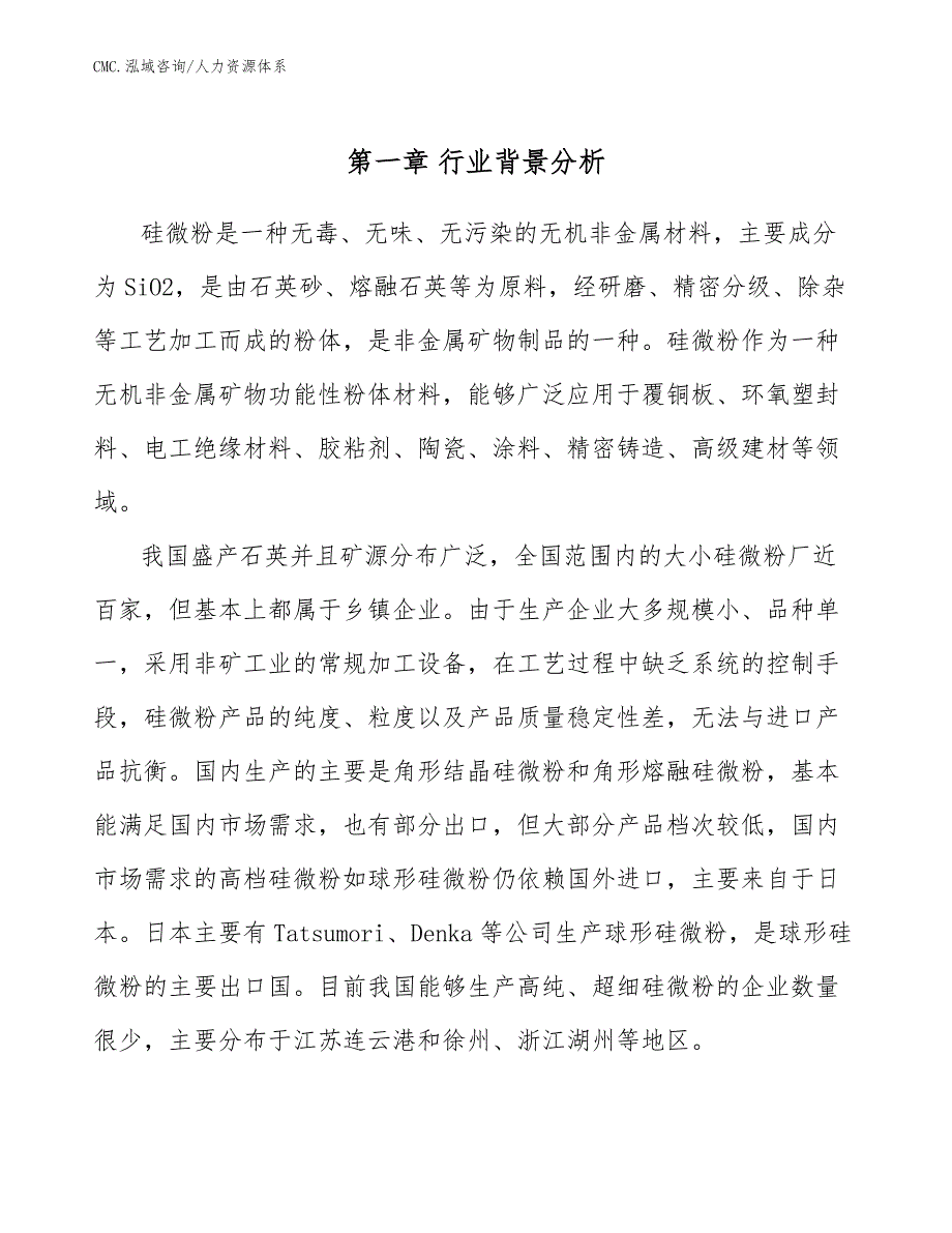 硅微粉项目人力资源体系（模板）_第4页