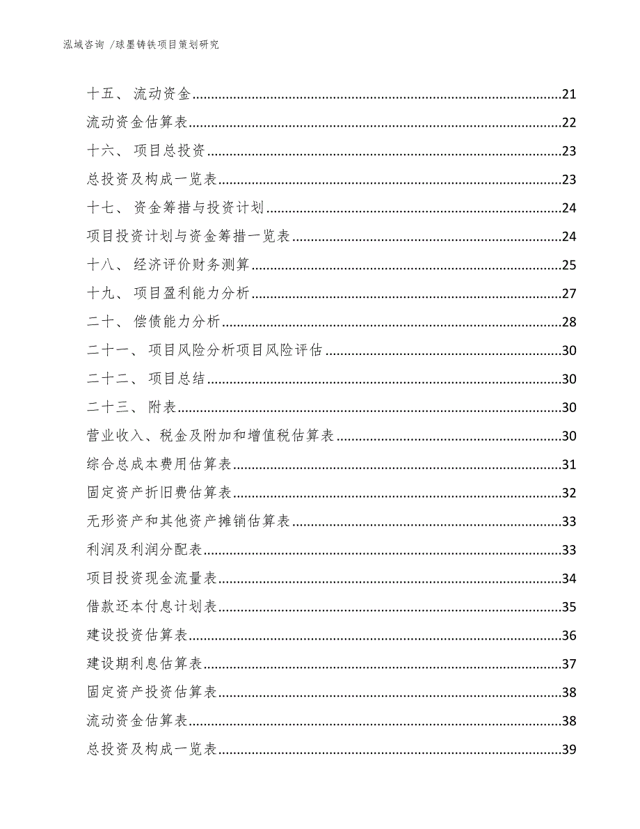 球墨铸铁项目策划研究（模板参考）_第2页