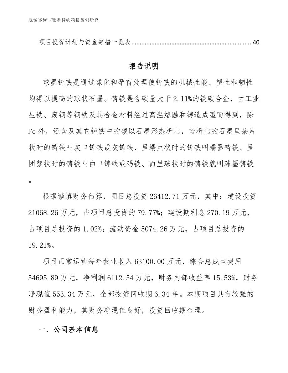 球墨铸铁项目策划研究（模板参考）_第3页