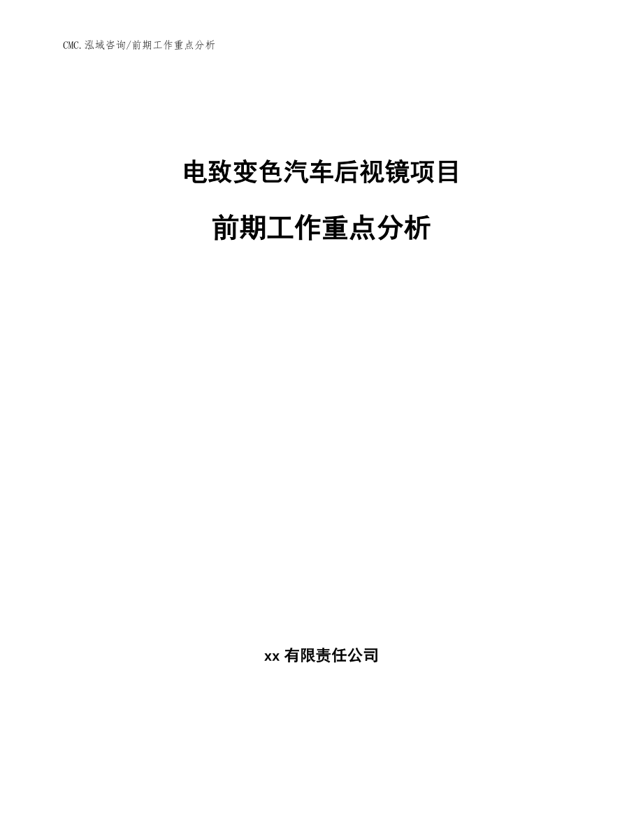 电致变色汽车后视镜项目前期工作重点分析（模板）_第1页