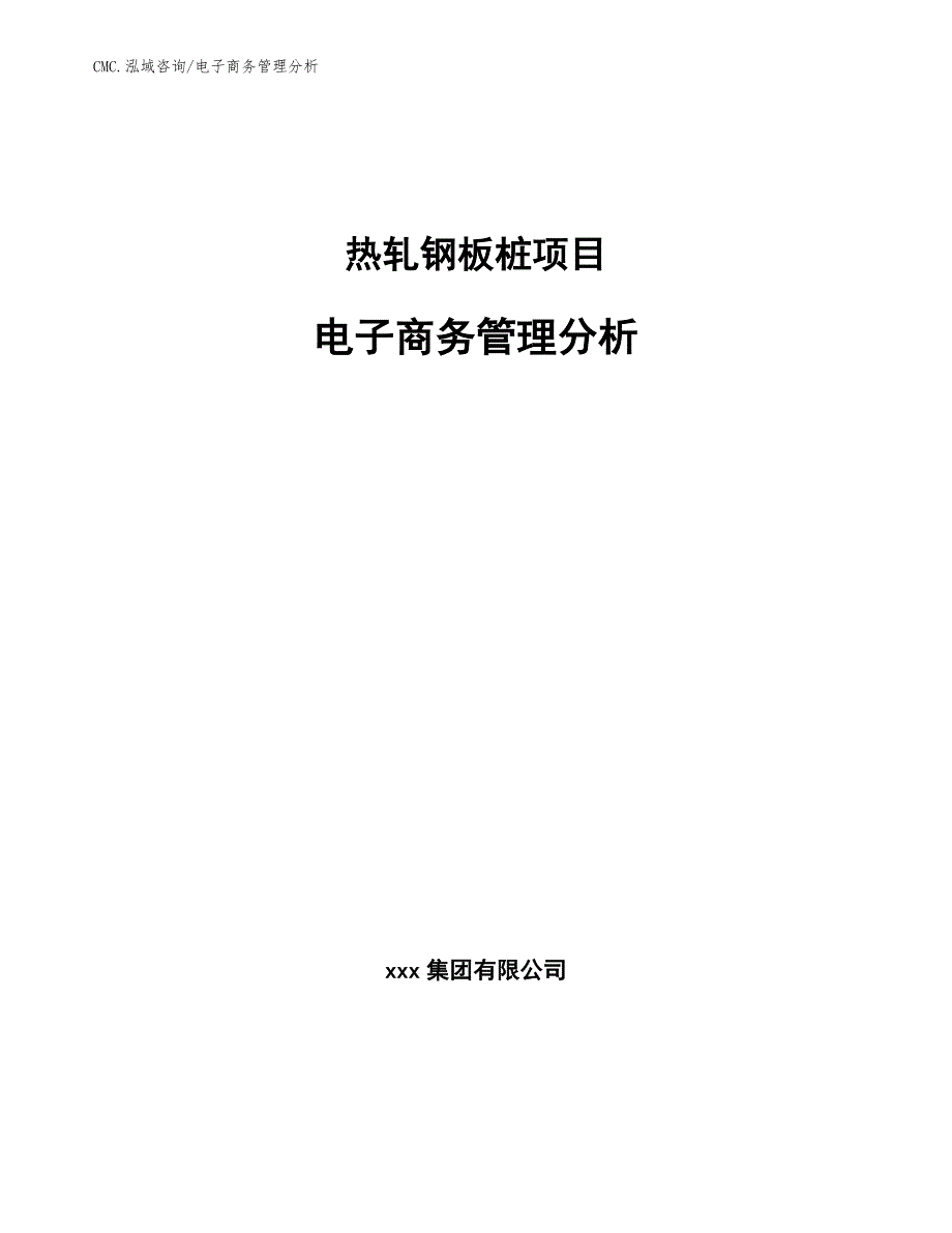 热轧钢板桩项目电子商务管理分析（模板）_第1页