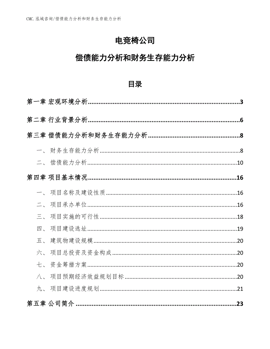 电竞椅公司偿债能力分析和财务生存能力分析（参考）_第1页