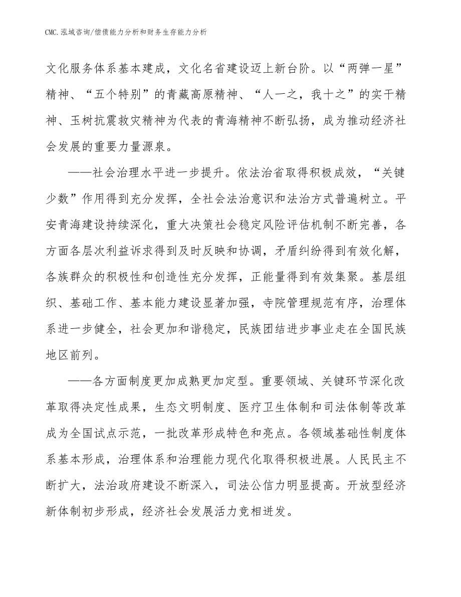 电竞椅公司偿债能力分析和财务生存能力分析（参考）_第5页