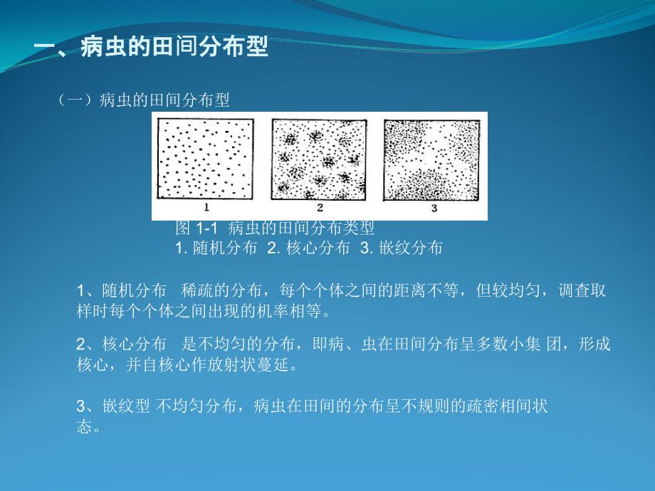 病虫害调查1p研究报告_第2页