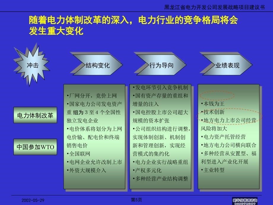 新华信黑龙江省电力开发公司战略规划_第5页