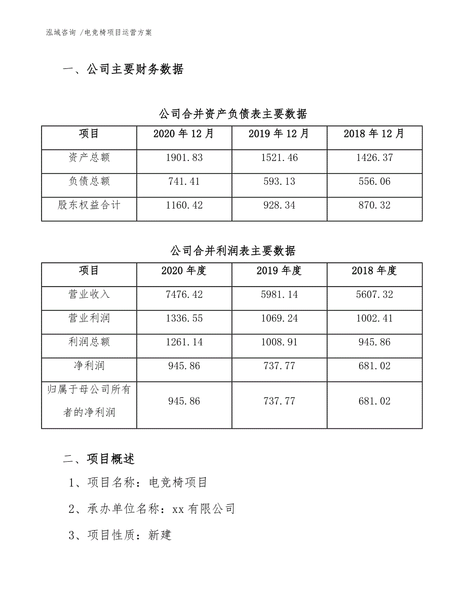 电竞椅项目运营方案（模板参考）_第4页