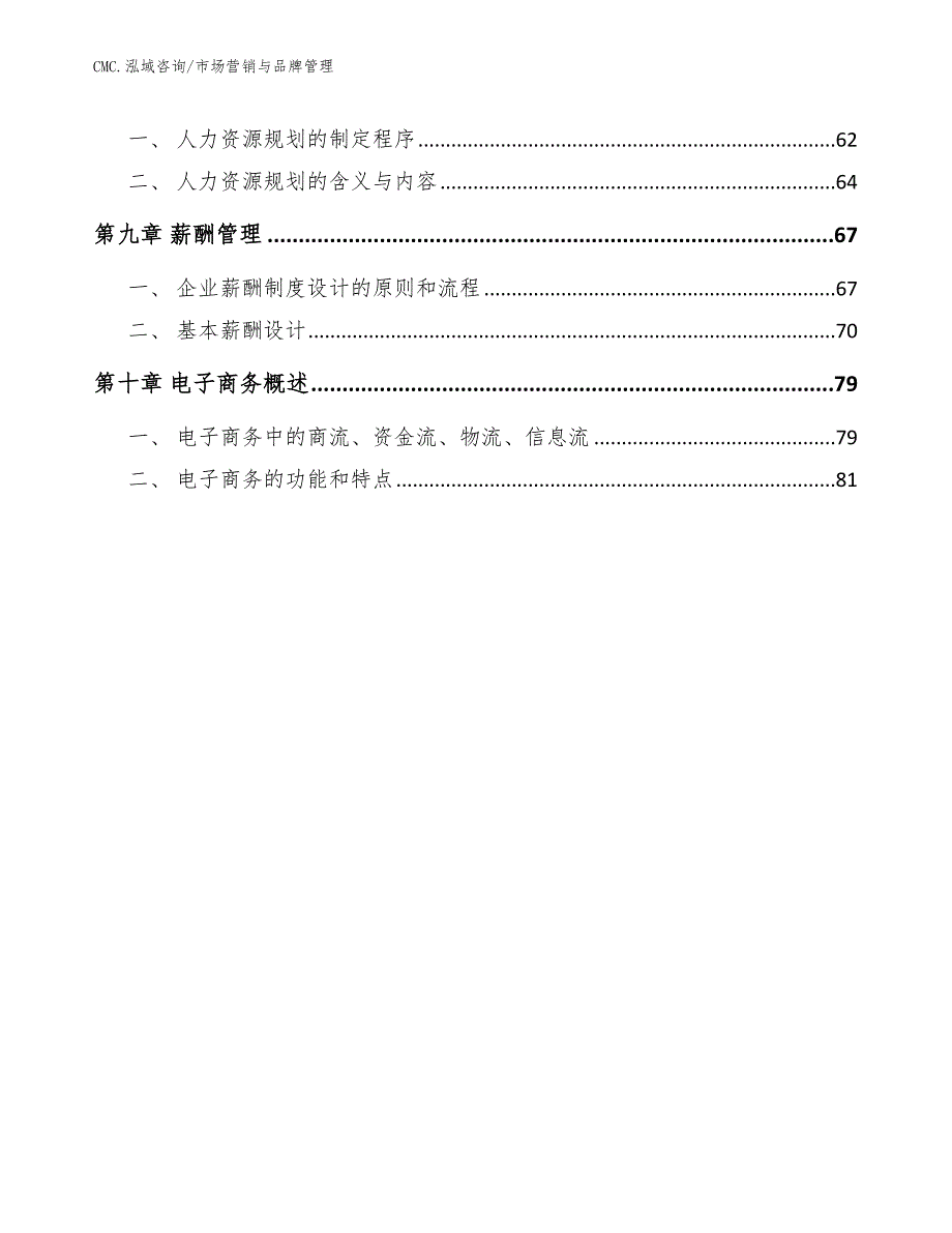 艺术漆项目市场营销与品牌管理（模板）_第3页