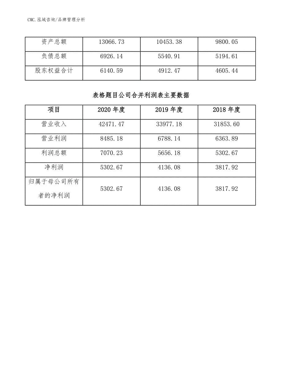 茶饮料公司品牌管理分析（范文）_第5页