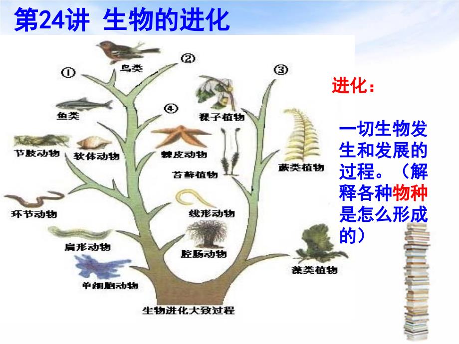 第24讲生物的进化教材课程_第1页