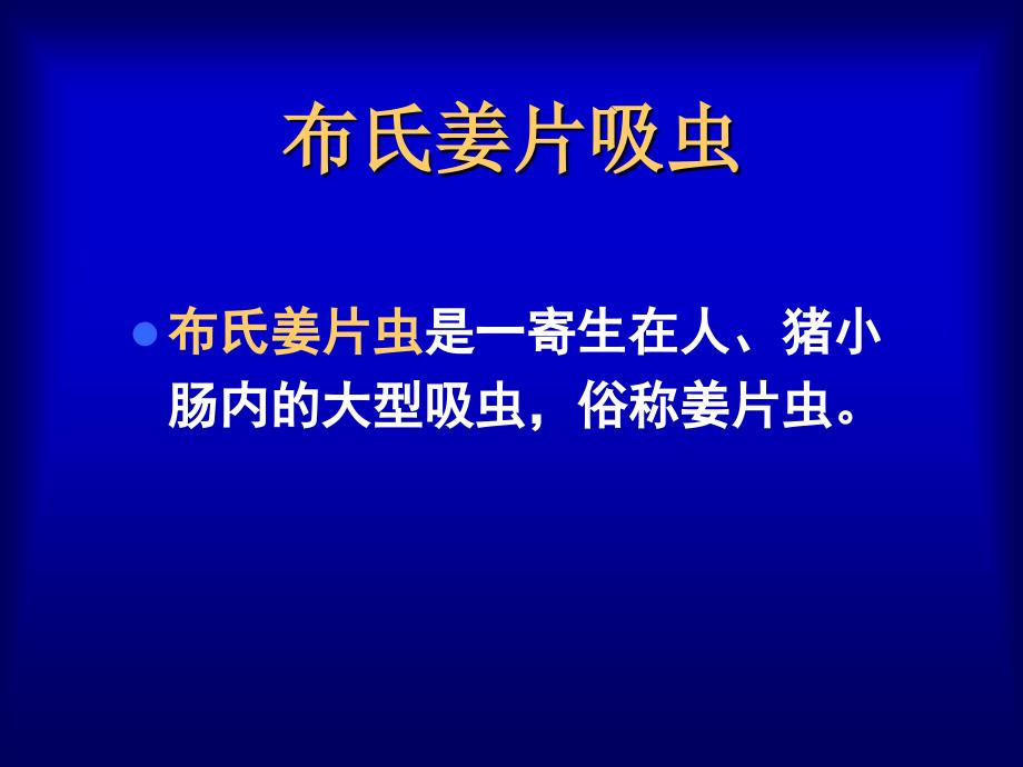 布氏姜片虫讲解简介教学文案_第1页