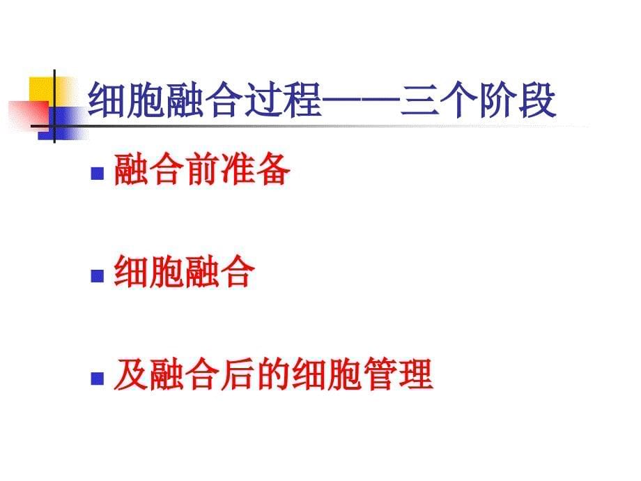 单克隆抗体与抗体工程v教学文稿_第5页