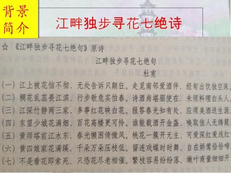 江畔独步寻花之黄师塔前江水东ppt课件_第5页