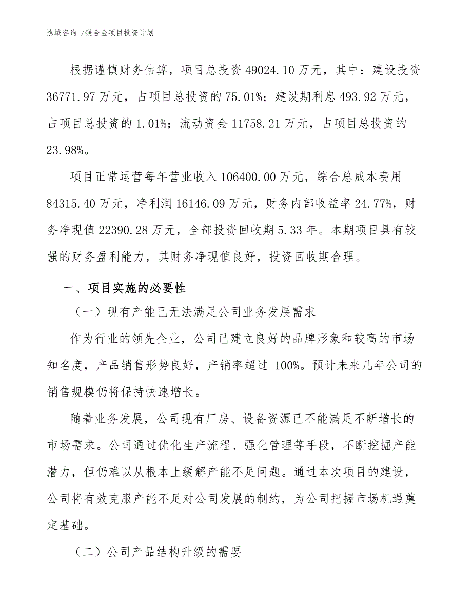 镁合金项目投资计划（模板范本）_第4页