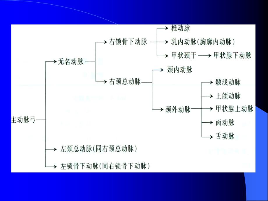 颈动脉超声检查及诊断标准说课讲解_第3页