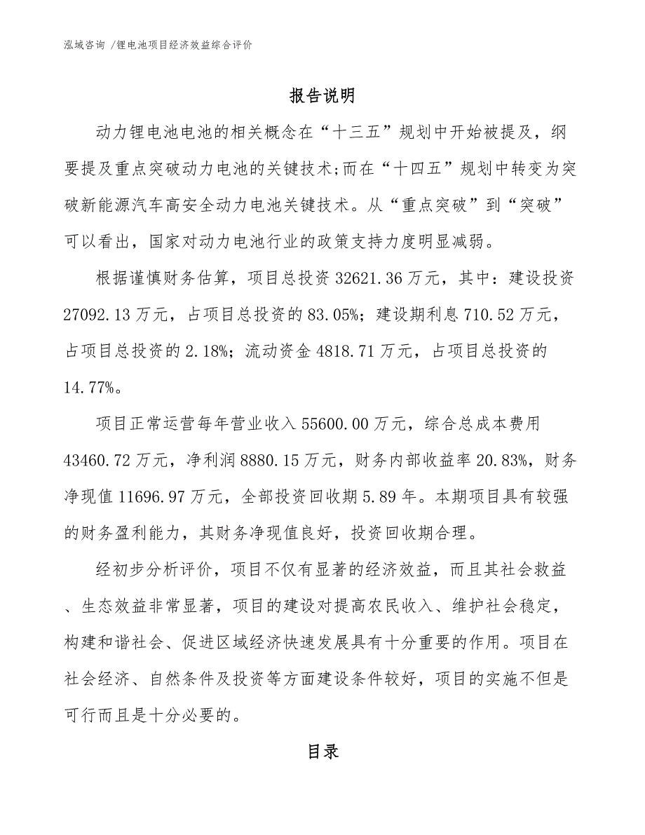 锂电池项目经济效益综合评价（模板）_第1页