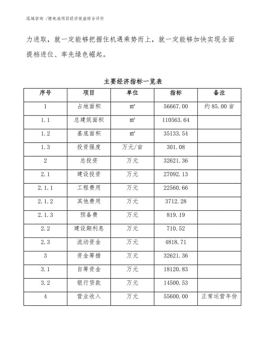 锂电池项目经济效益综合评价（模板）_第5页