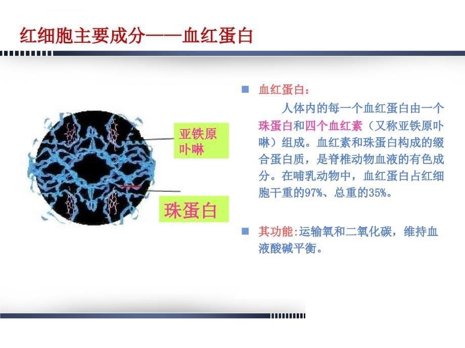 最终版的妇产妊娠合并贫血ppt课件_第5页