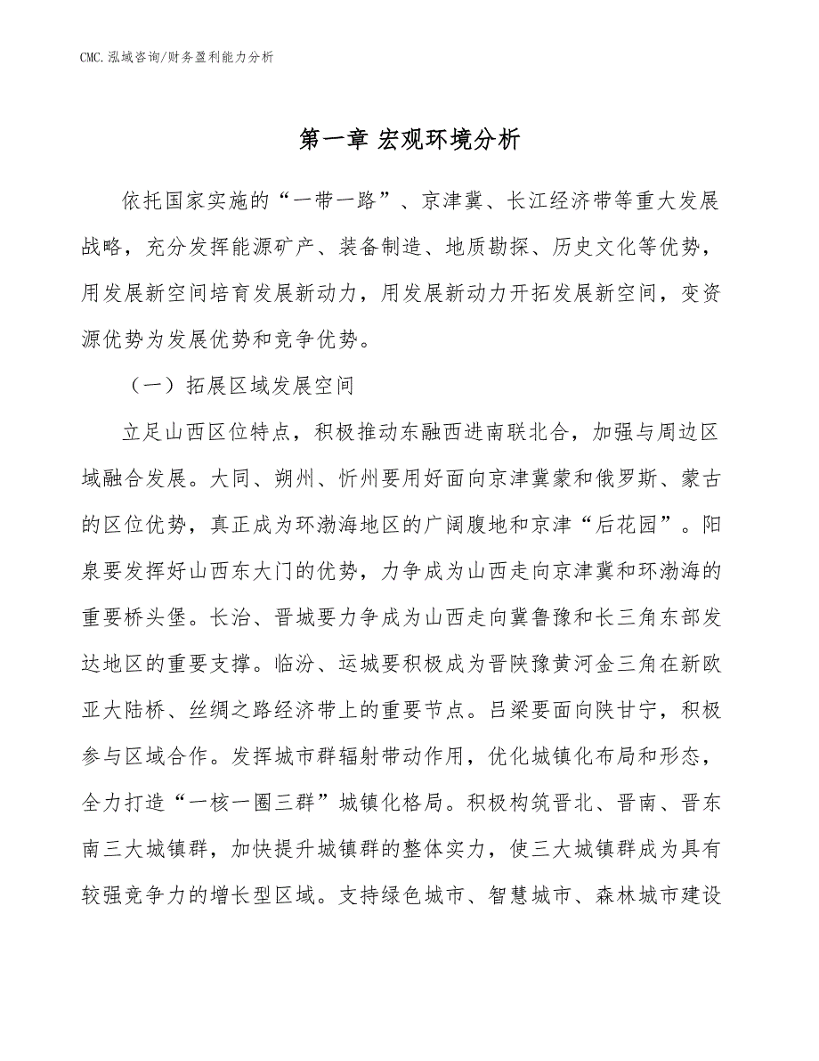 护理机器人公司财务盈利能力分析（模板）_第3页