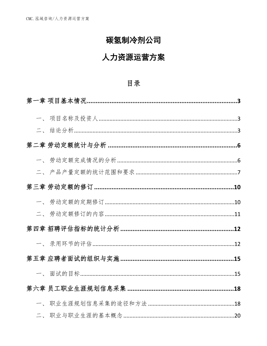 碳氢制冷剂公司人力资源运营方案（模板）_第1页