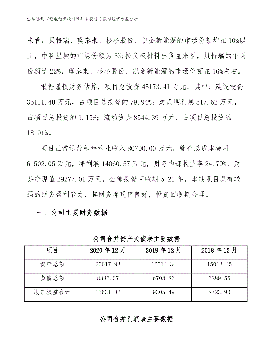 锂电池负极材料项目投资方案与经济效益分析（模板范本）_第3页