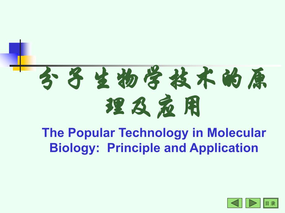 分子生物学技术说课材料_第1页