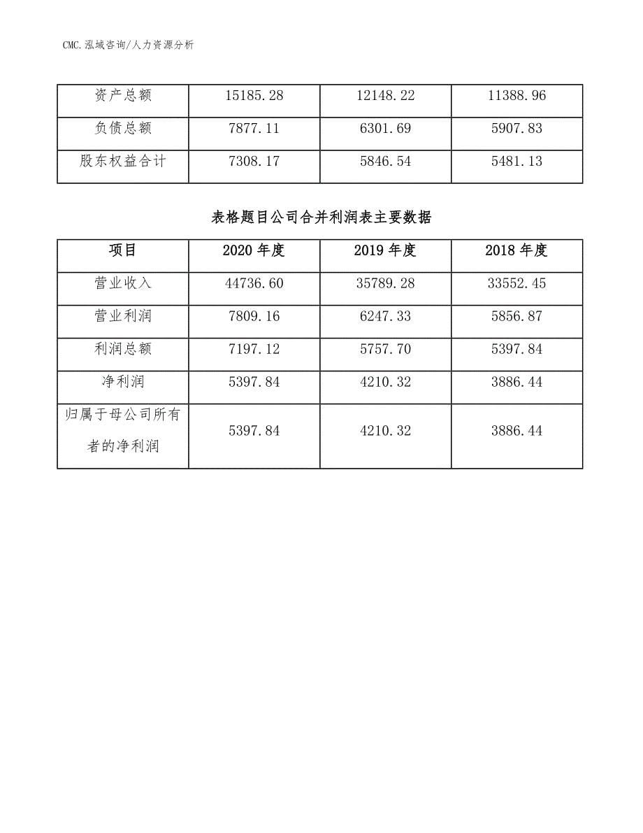 预调鸡尾酒项目人力资源分析（参考）_第5页