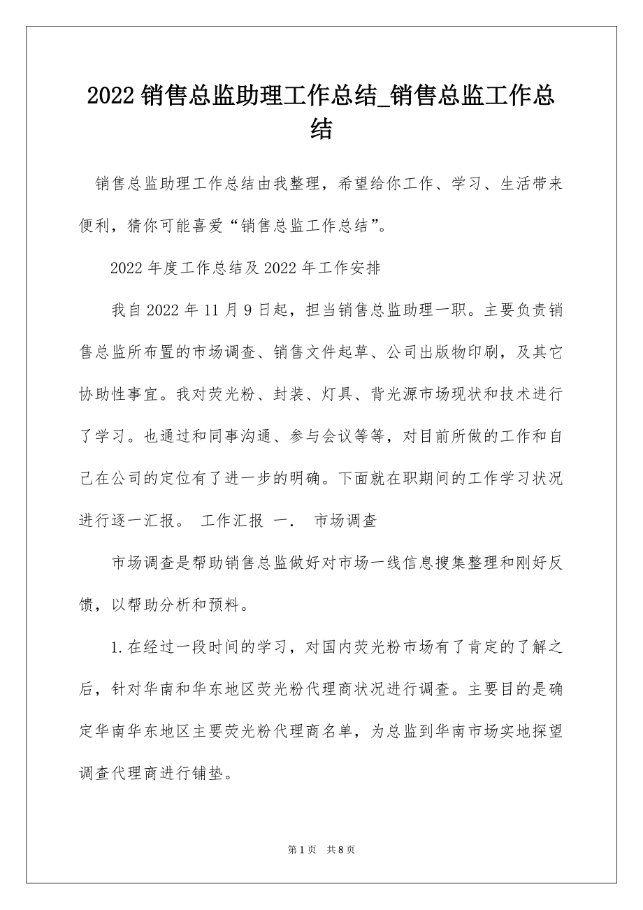 2022销售总监助理工作总结_销售总监工作总结_第1页