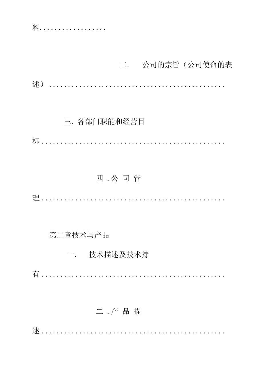 it商业计划书范本(完整版)_第5页