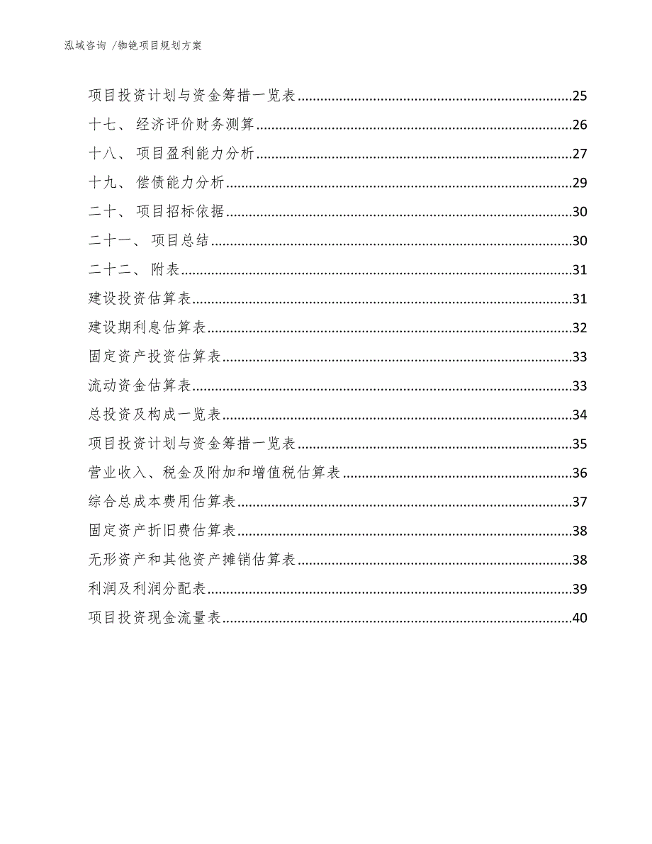 铷铯项目规划方案（模板范本）_第3页