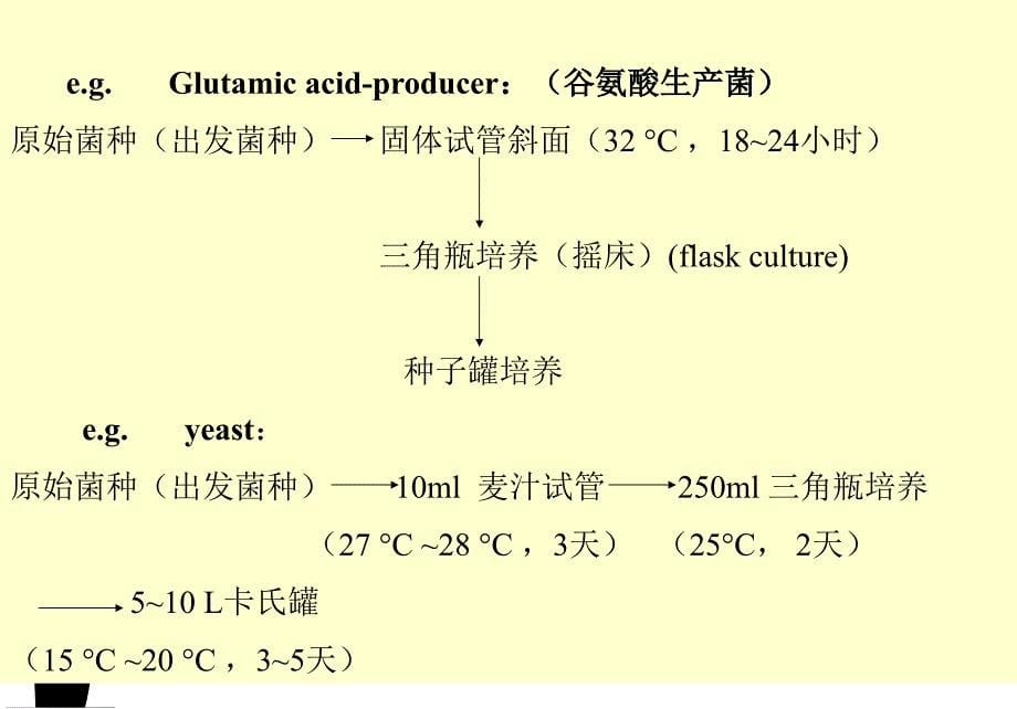 第二章2种子扩大培养说课讲解_第5页